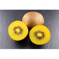 Kiwi jaune bio