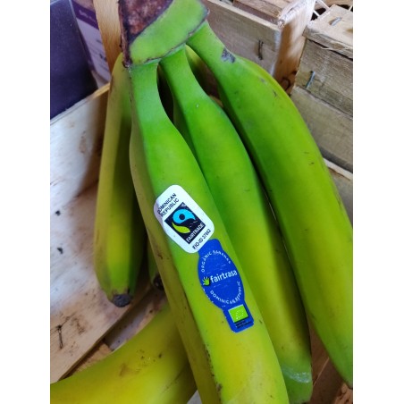 Banane bio